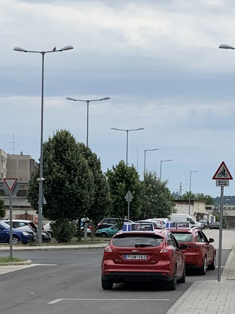 A dögös vörösök